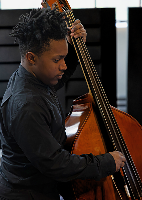 WMPI double bass
