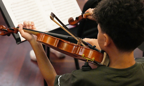 chamber orchestra