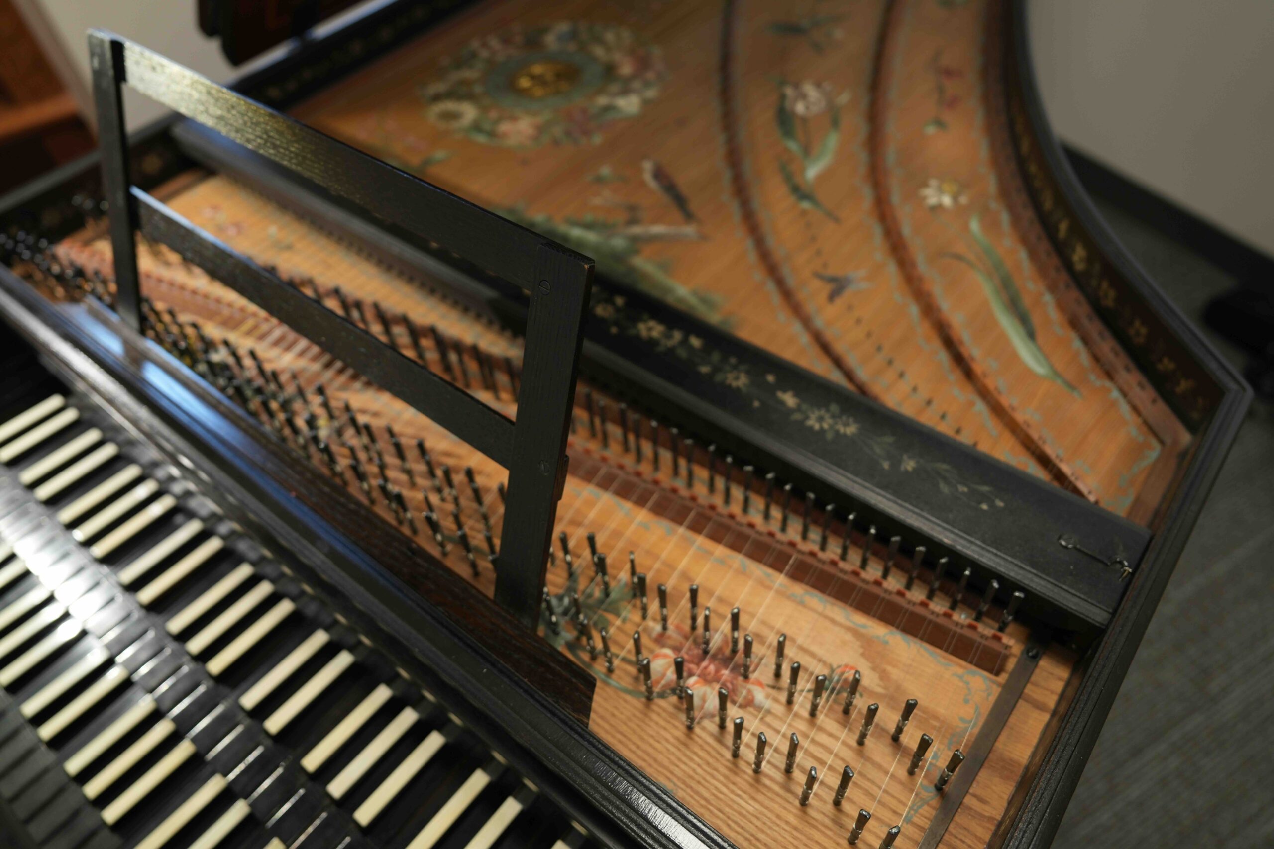 A close-up of a harpsichord's soundboard.