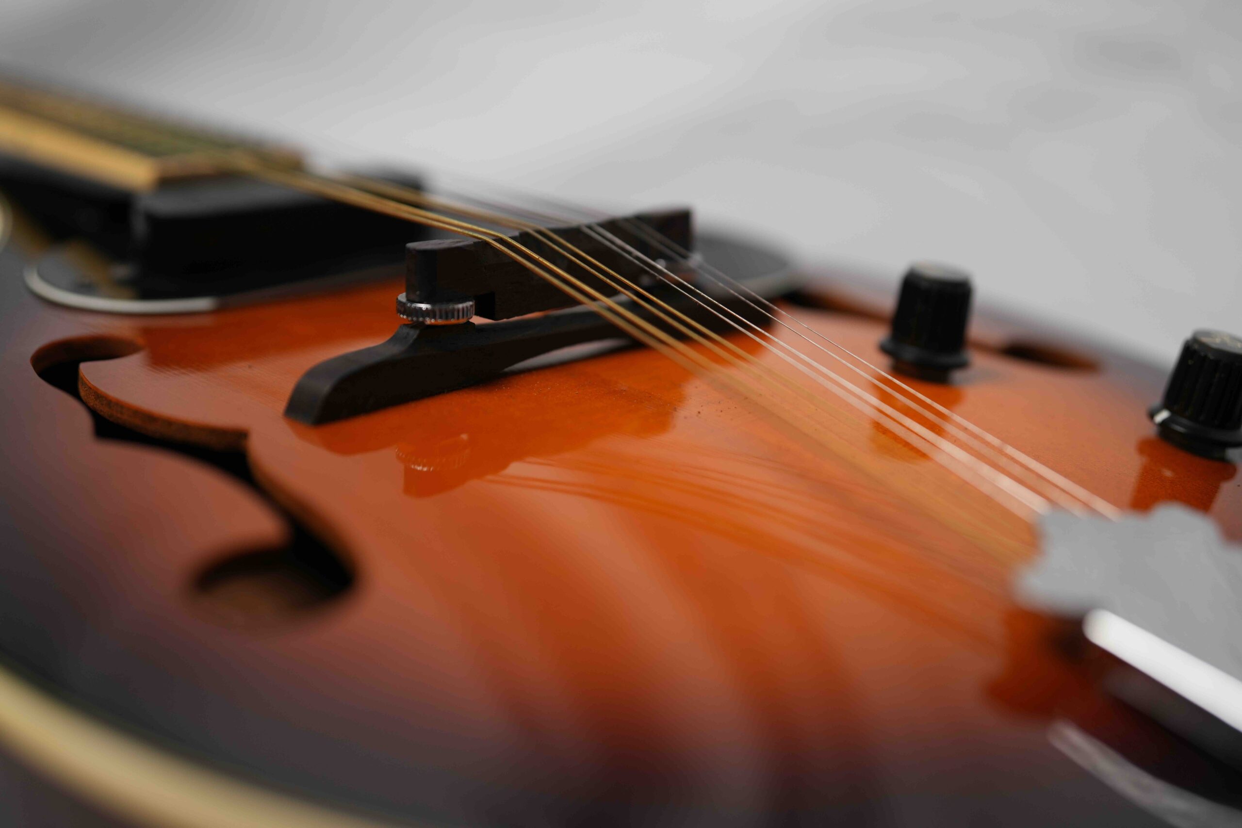 A close-up of a mandolin.
