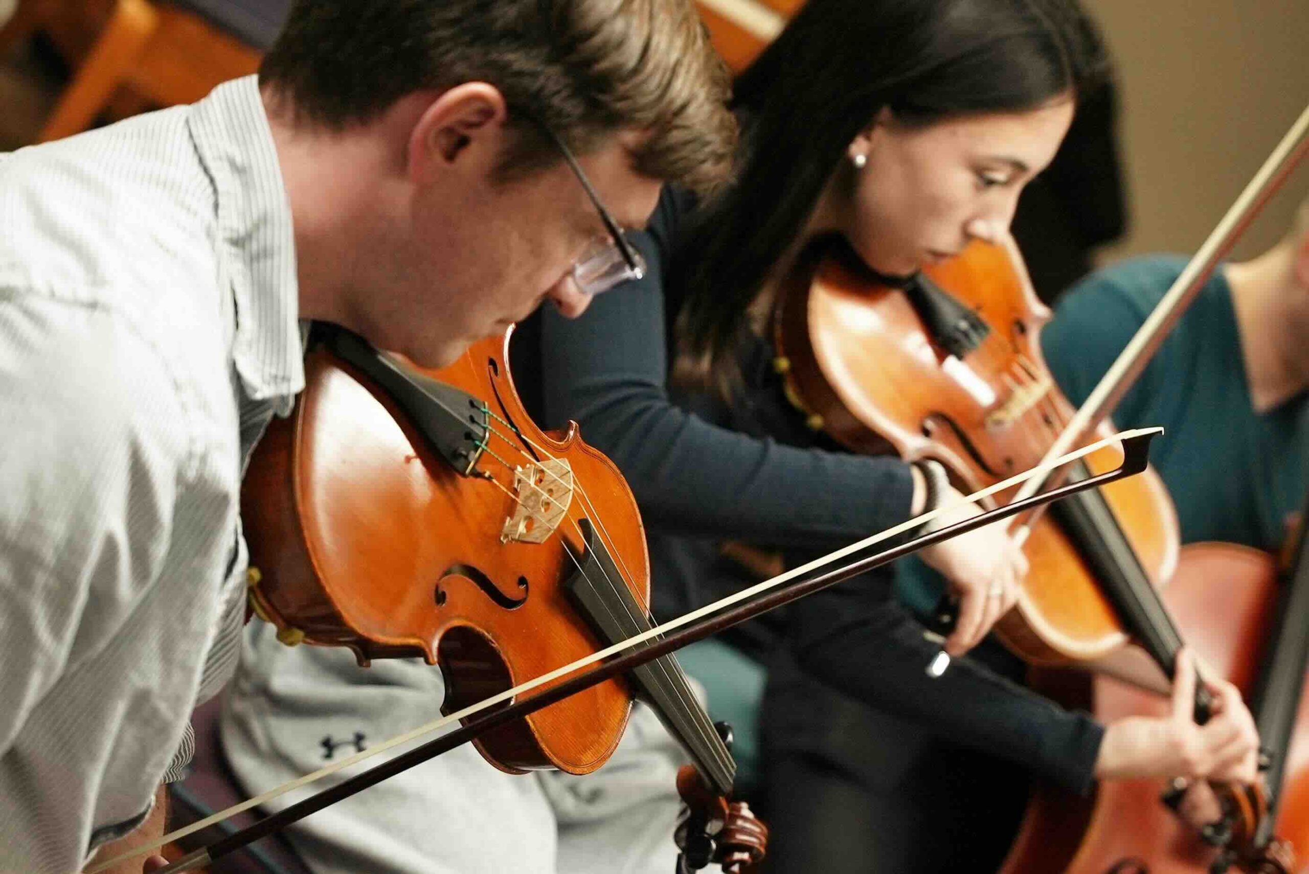 A viola player in a chamber ensemble.