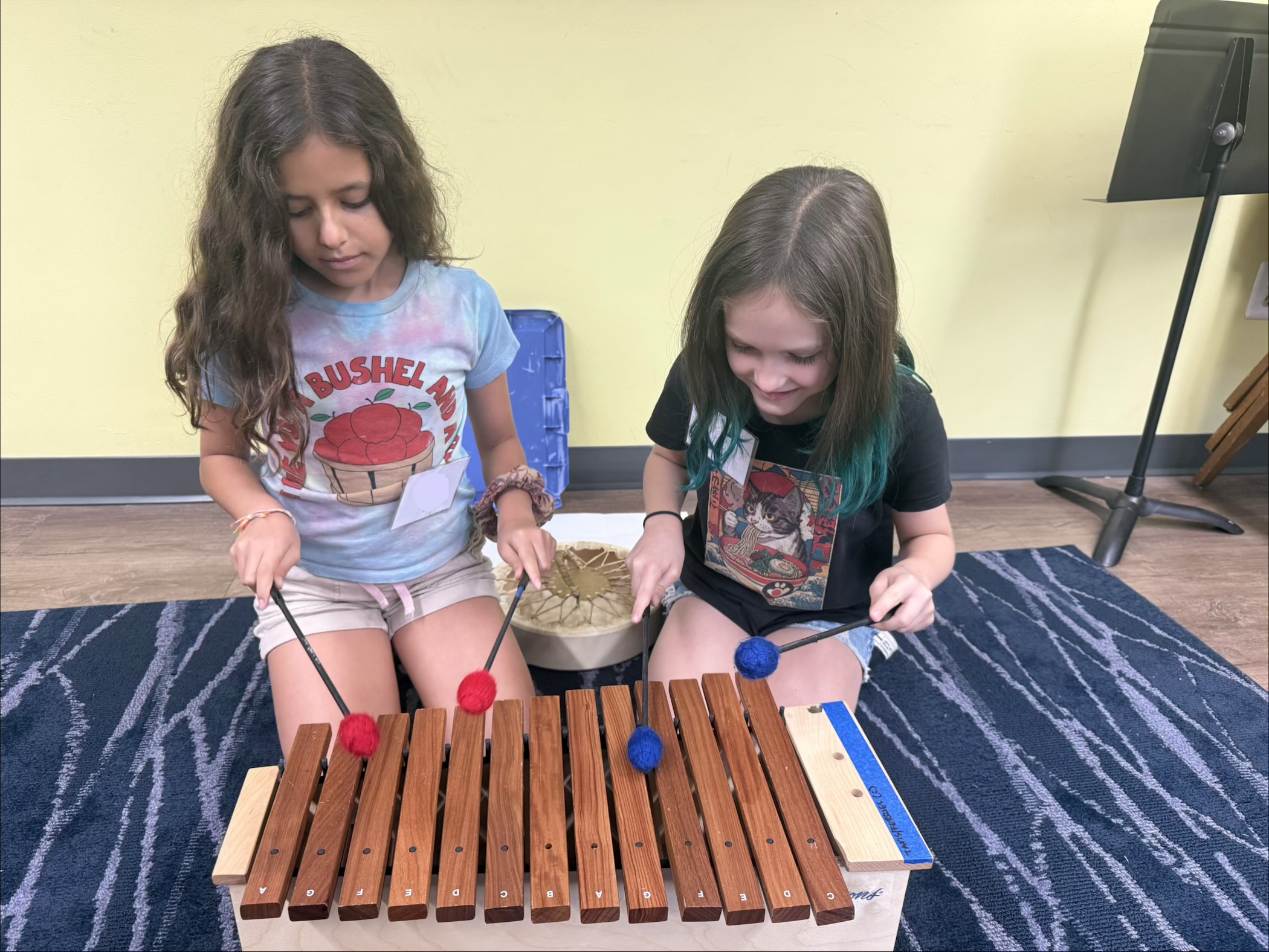 3a composition